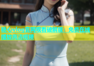 糖心vlog官网观看破解版：免费在线播放高清视频