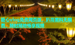 糖心vlog免费网页版，扒哥黑料无限看，随时随地畅享视频