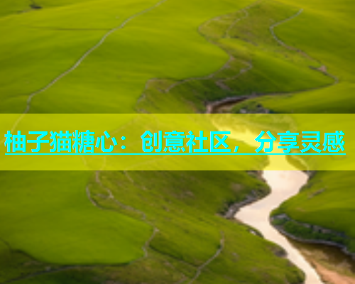 柚子猫糖心：创意社区，分享灵感  第1张