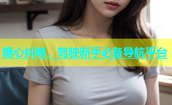 糖心纠缠，驾驶新手必备导航平台